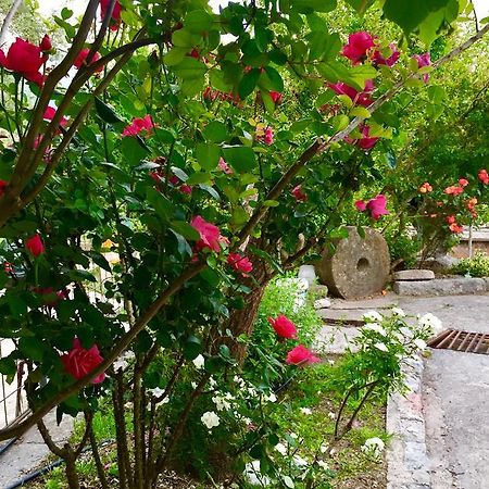 Apartmani Peric บาร์ ภายนอก รูปภาพ