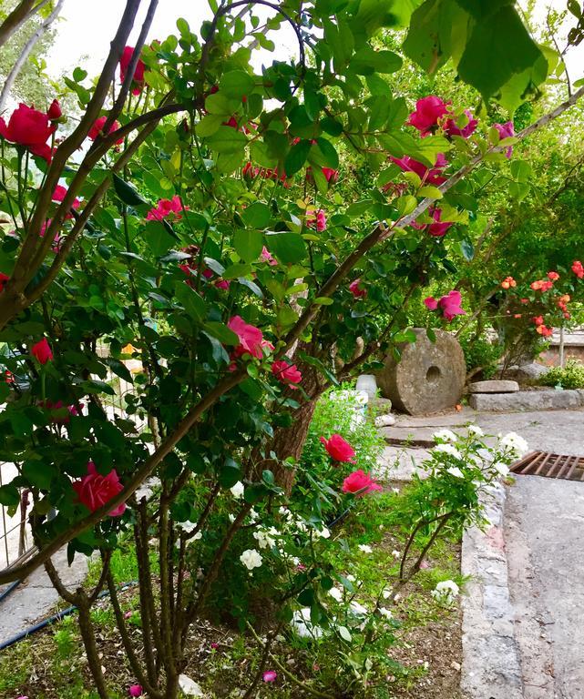 Apartmani Peric บาร์ ภายนอก รูปภาพ